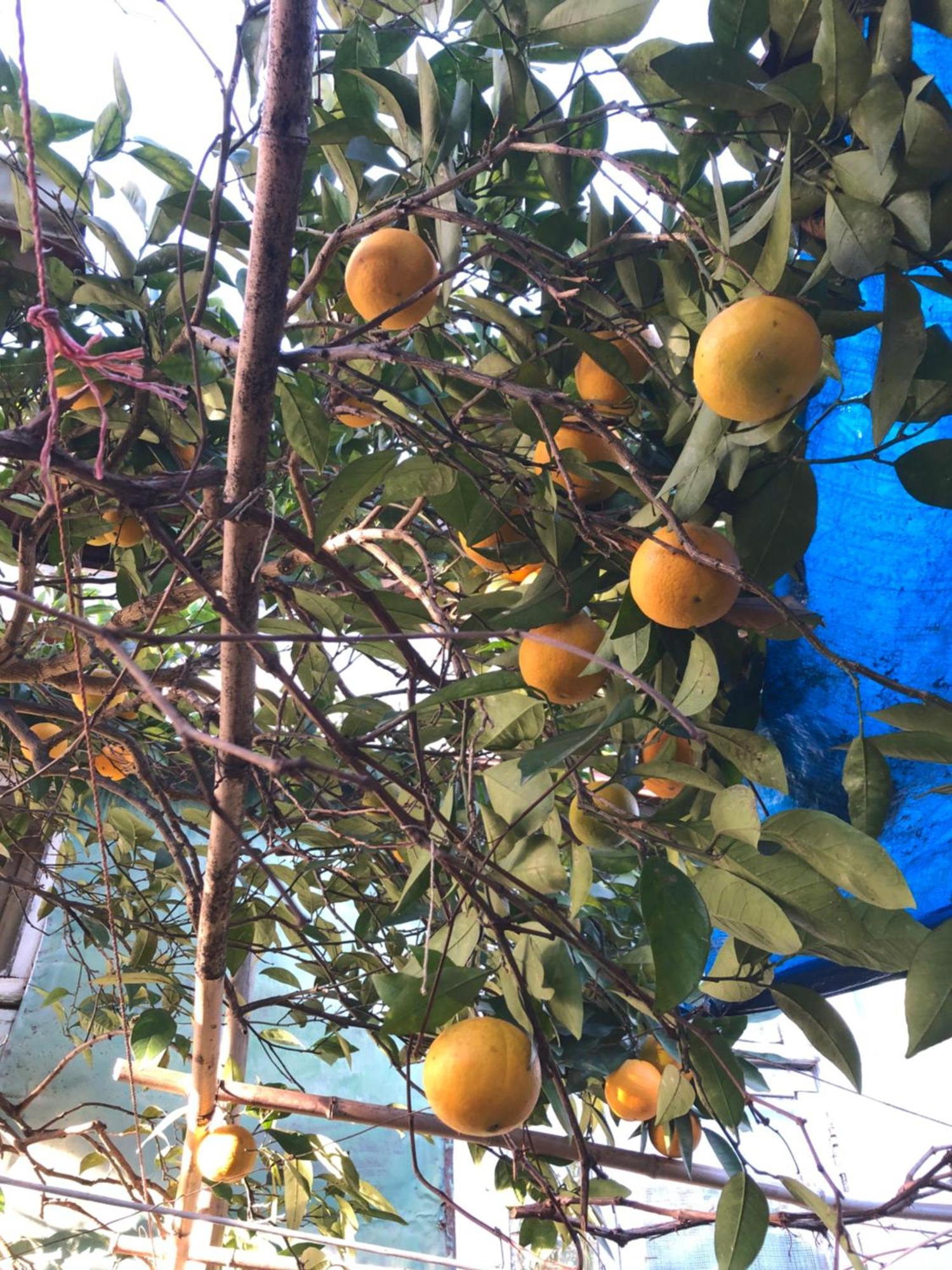 Guesthouse Eco Chakvi Dış mekan fotoğraf