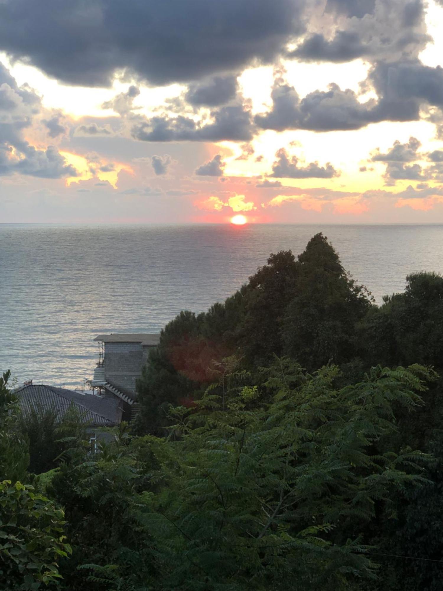 Guesthouse Eco Chakvi Dış mekan fotoğraf