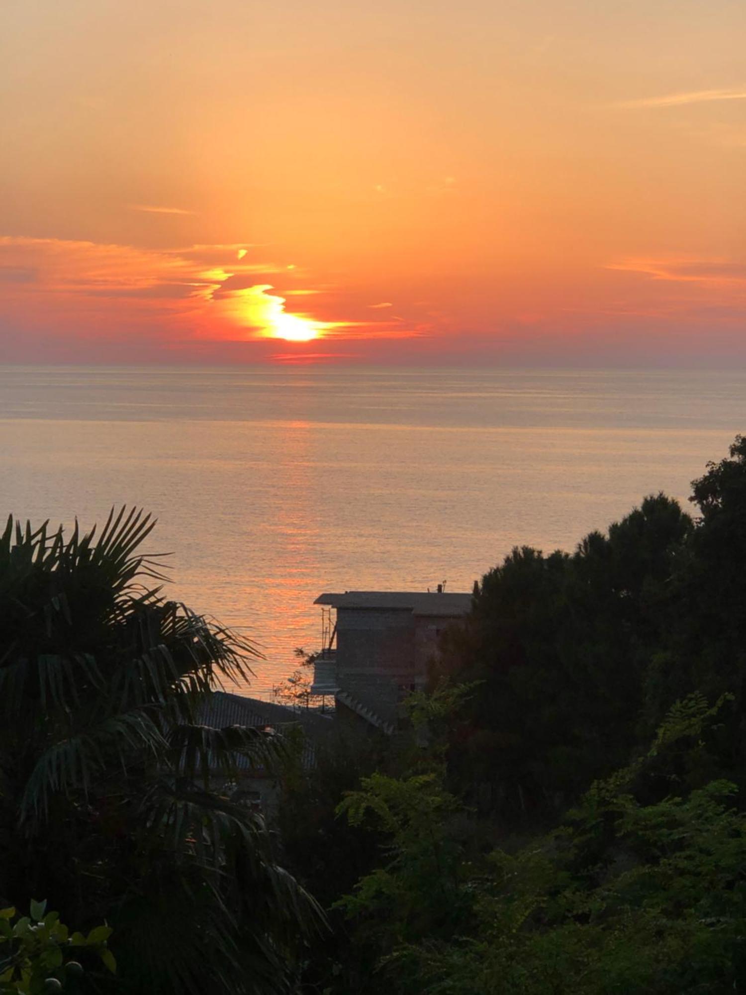 Guesthouse Eco Chakvi Dış mekan fotoğraf