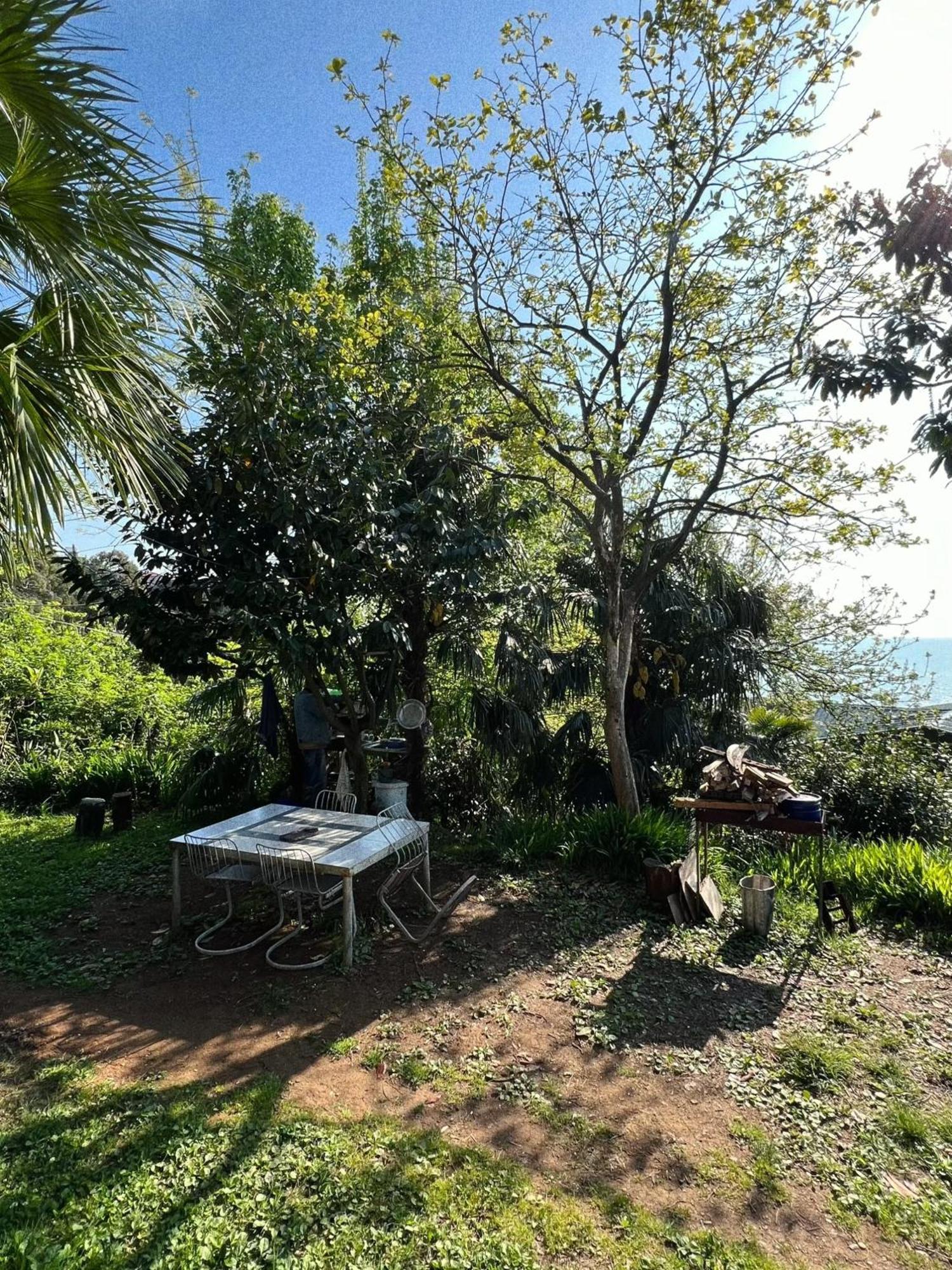Guesthouse Eco Chakvi Dış mekan fotoğraf