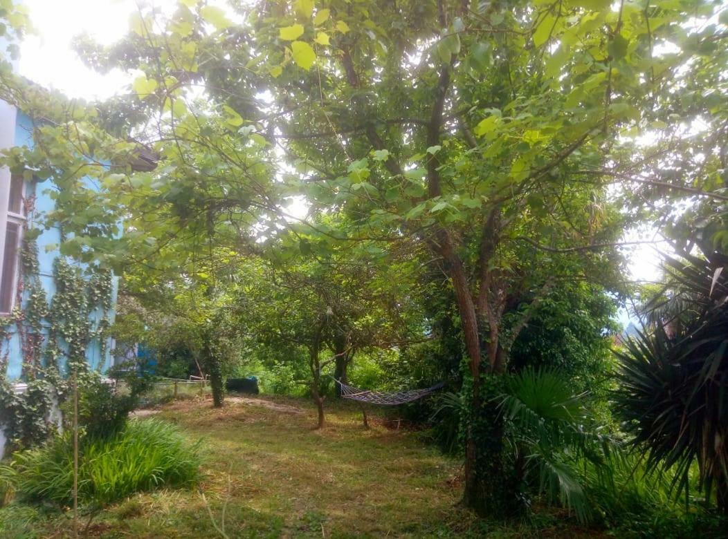 Guesthouse Eco Chakvi Dış mekan fotoğraf