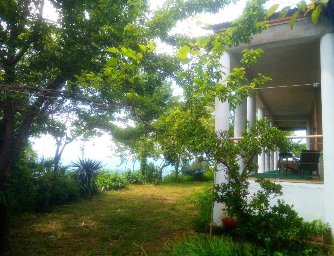 Guesthouse Eco Chakvi Dış mekan fotoğraf