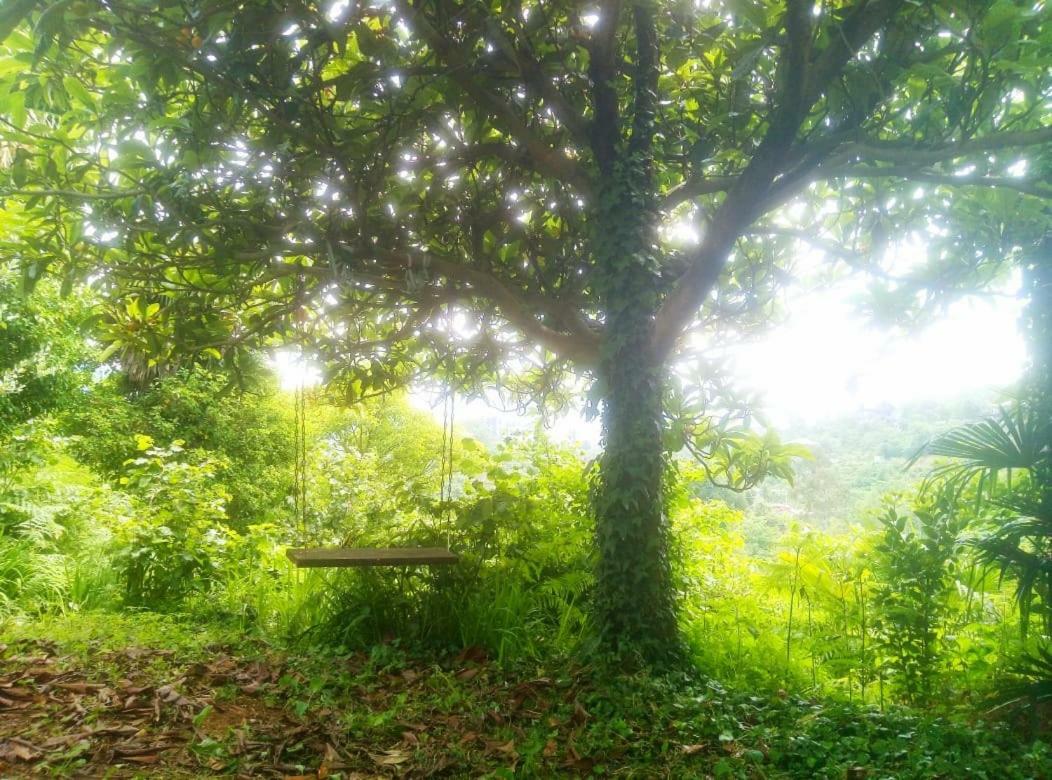 Guesthouse Eco Chakvi Dış mekan fotoğraf
