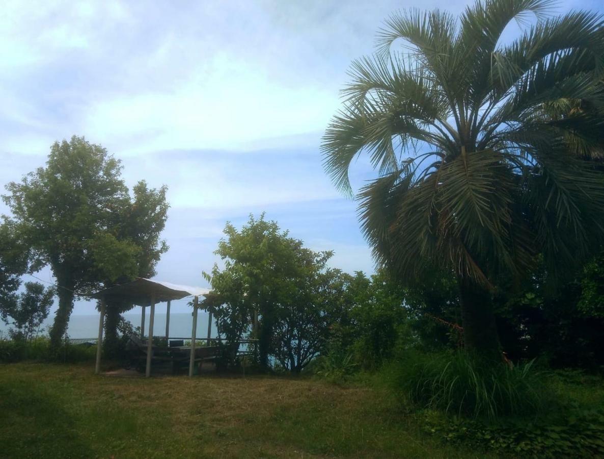 Guesthouse Eco Chakvi Dış mekan fotoğraf