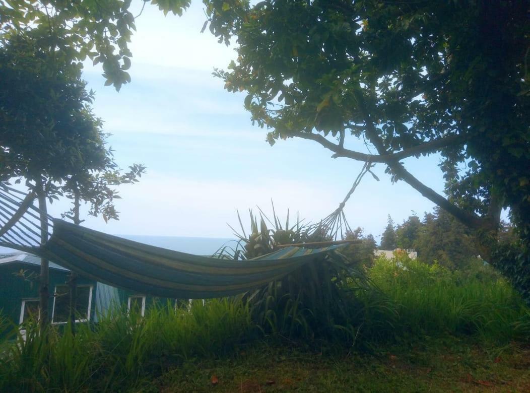 Guesthouse Eco Chakvi Dış mekan fotoğraf
